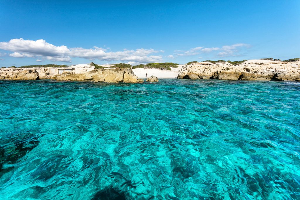 CALA PLUMA